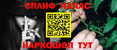 a pvp Славгород