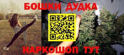 a pvp Славгород
