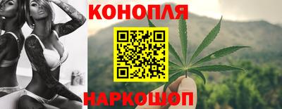a pvp Славгород