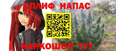 a pvp Славгород