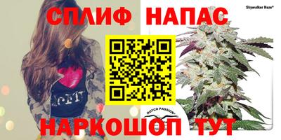 a pvp Славгород