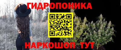 a pvp Славгород